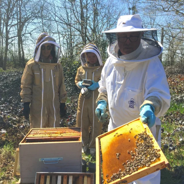 Ce mois-ci, les élèves engagés avec les ruches de l’École des Roches ont partagé leur passion avec toute la communauté. 

Aux côtés de Michel, leur apiculteur référent, ils ont présenté le travail des abeilles et expliqué le rôle essentiel de la pollinisation à travers des démonstrations et une dégustation de miel.

Une belle manière de faire découvrir leur engagement pour la biodiversité et de sensibiliser chacun à la préservation du vivant.